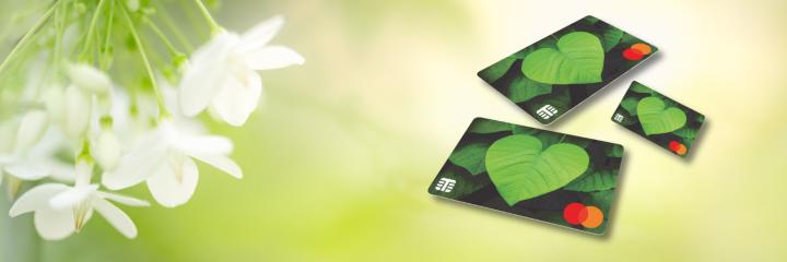 Prepaid paperboard Mastercard financial card 