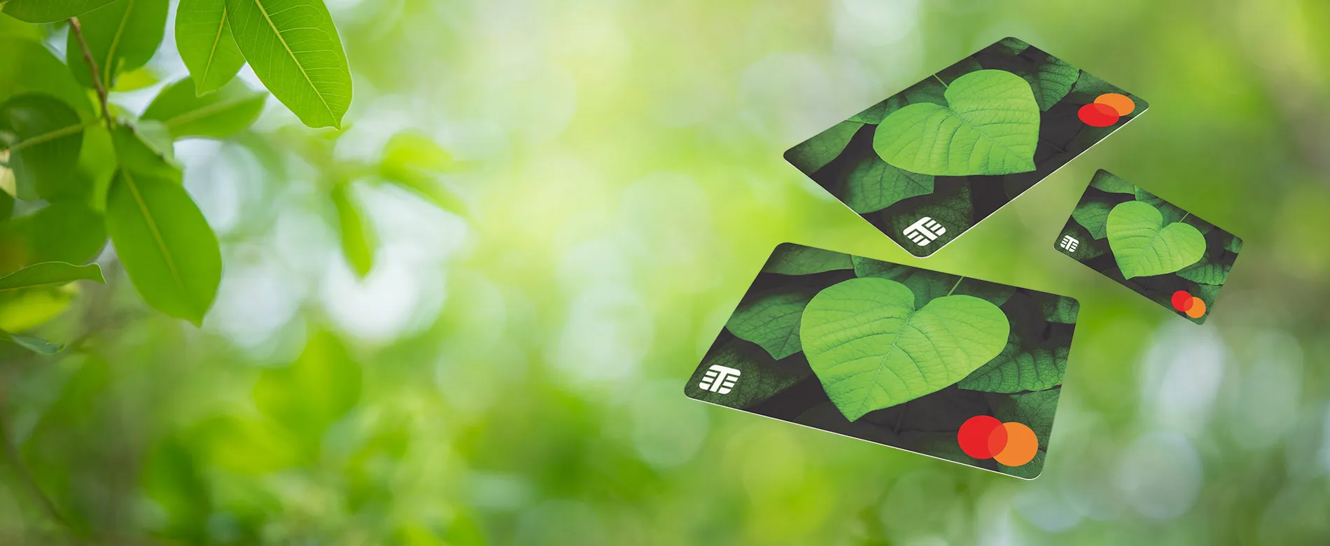 Thames Technology Mastercard approved prepaid paperboard cards