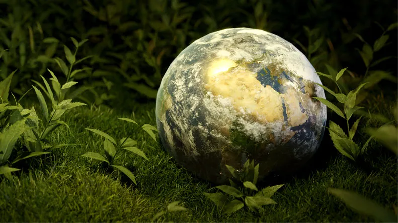 Earth globe on green forest floor