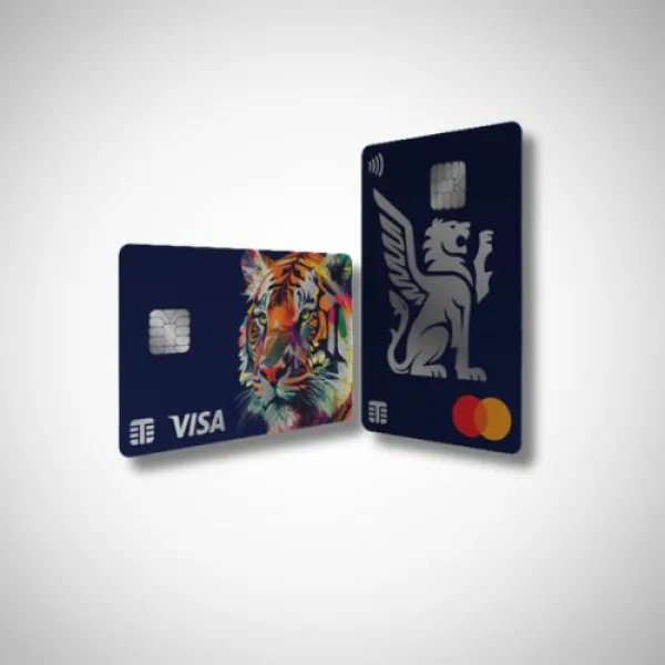 Thames Technology metal cards